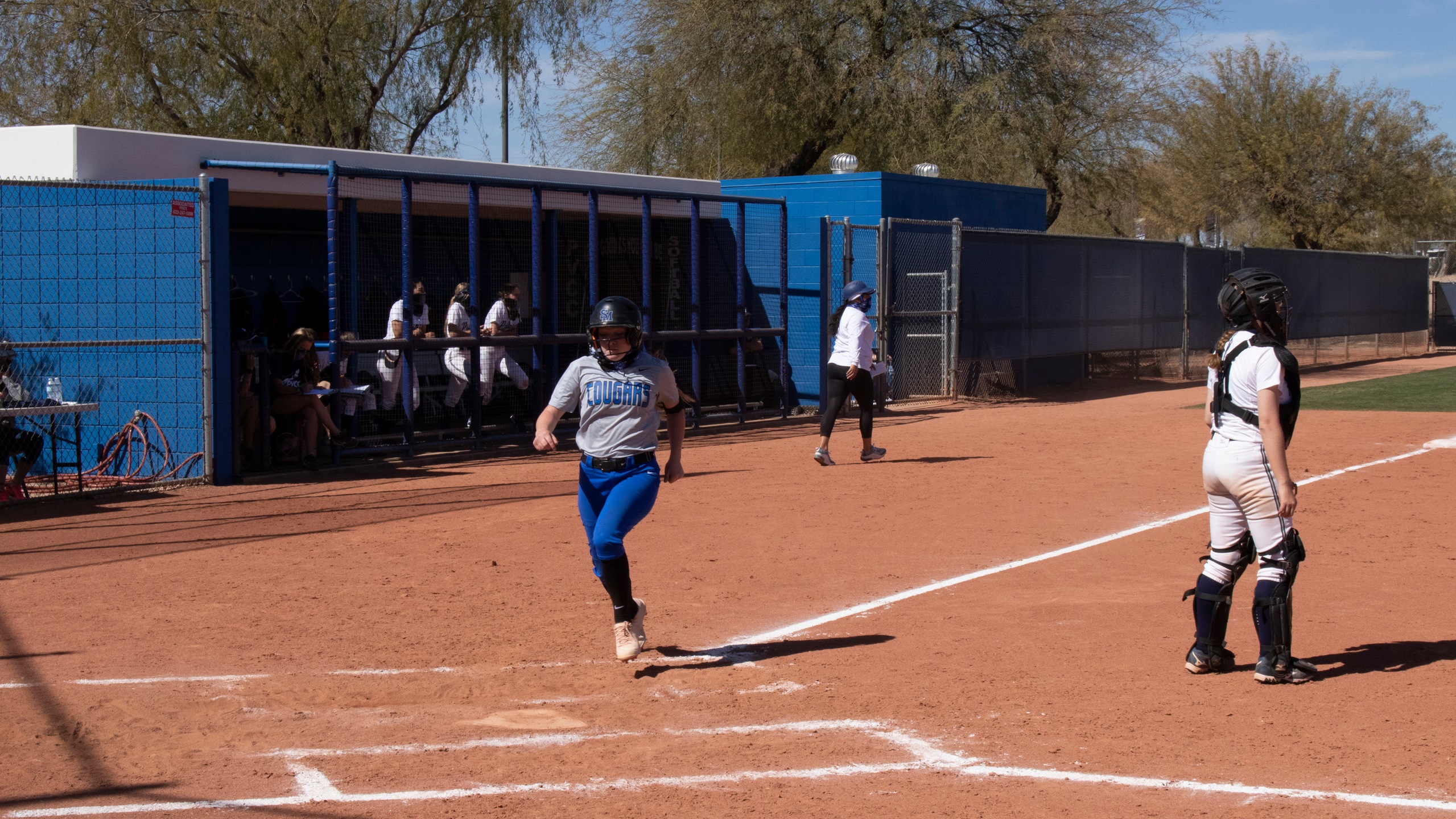 No. 15 Cougars Sweep Doubleheader against Scottsdale CC