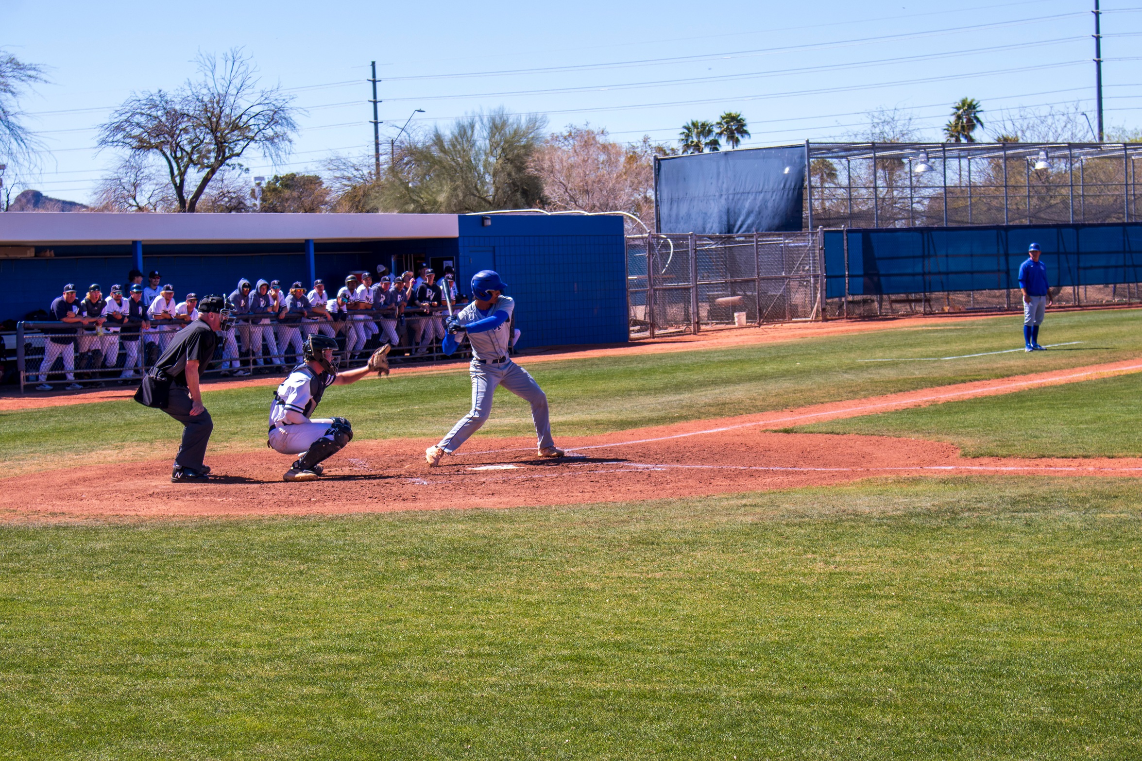 Cougar Baseball Battles with at Phoenix College, Eastern Arizona