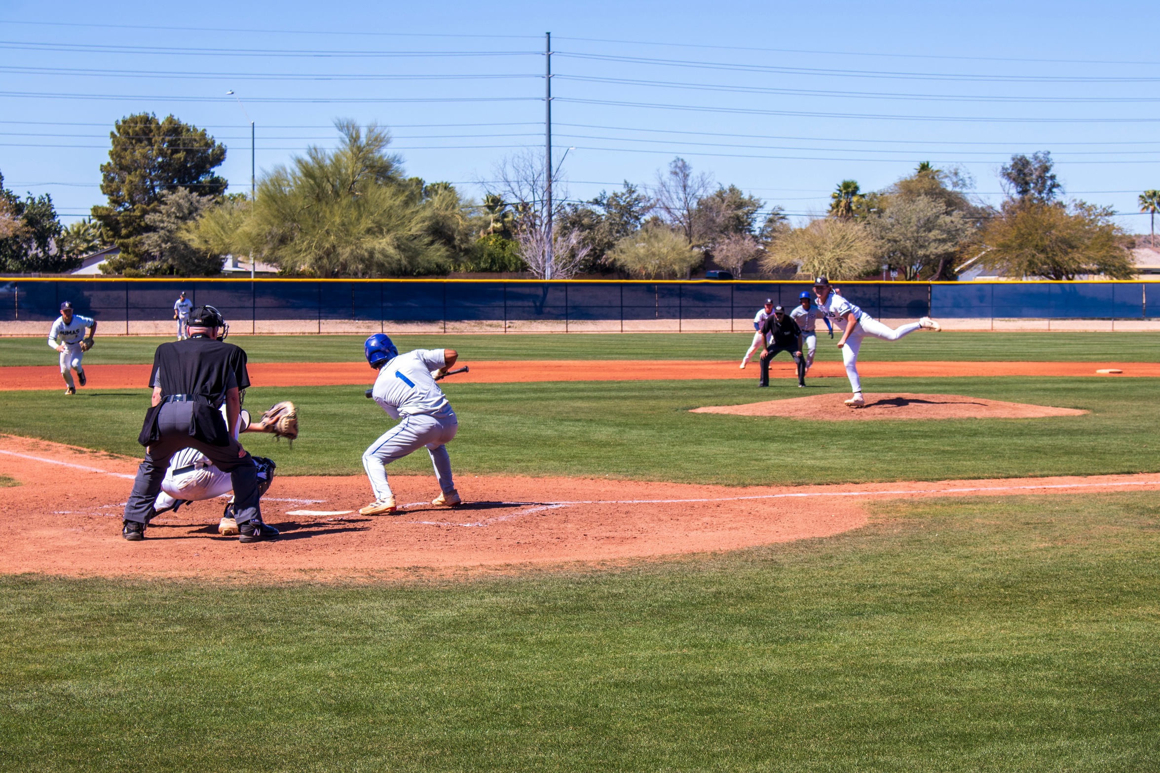 Cougar Baseball Splits Midweek Series with Scottsdale CC
