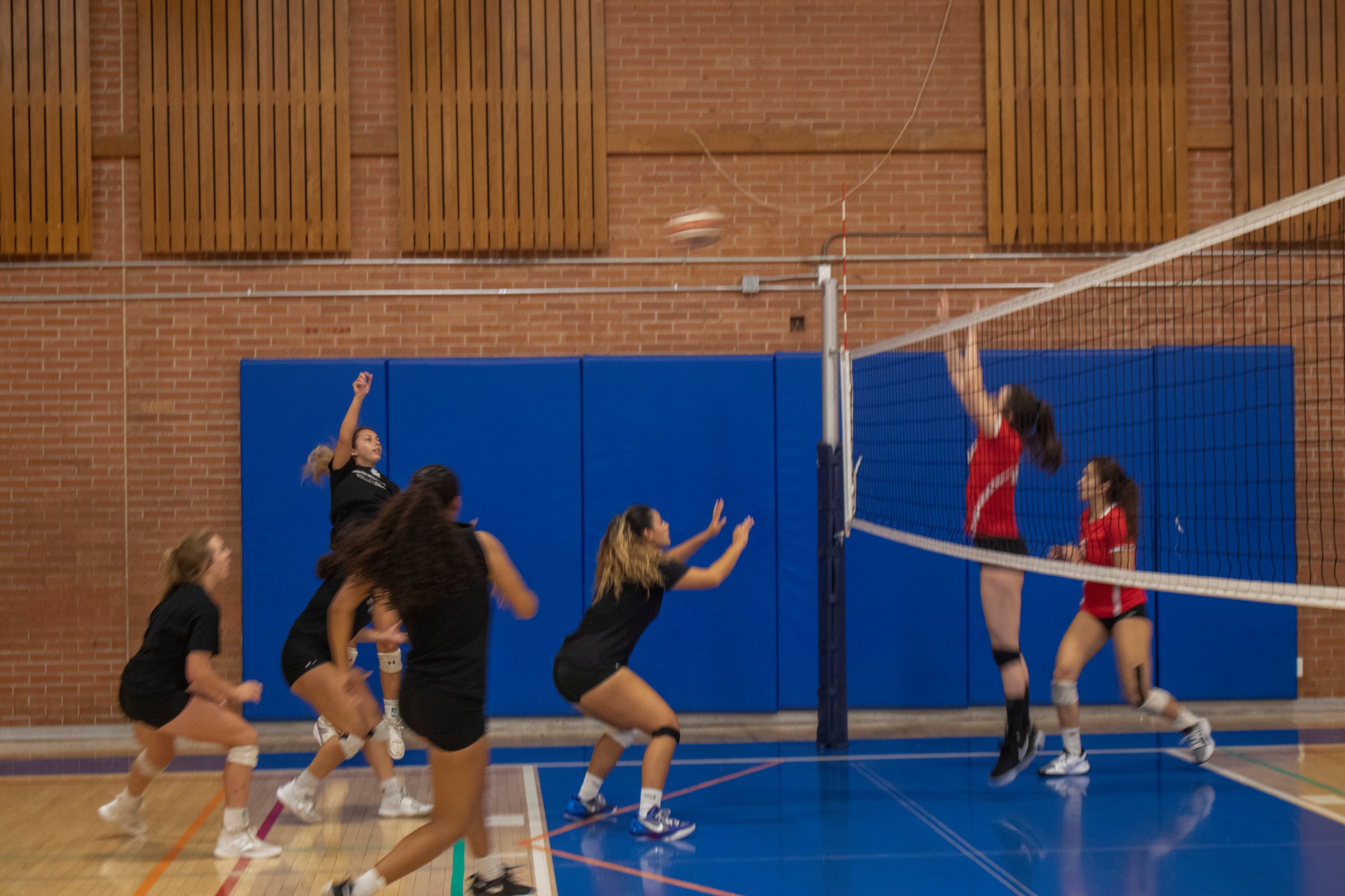 Cougar Volleyballs Falls to Scottsdale CC