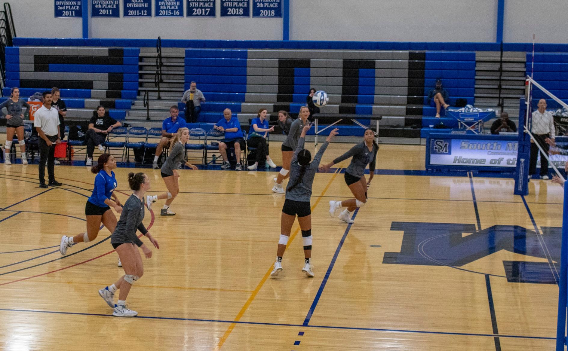Cougars Sweeps Phoenix College to Open 2022 ACCAC Campaign